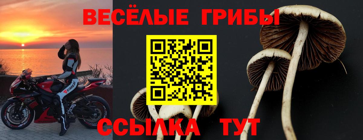 Кашира  Галлюциногенные грибы Magic Shrooms  Галлюциногенные грибы прущие грибы  Вход с VPN 